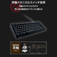 ゲーミングキーボード 有線 メカニカル テンキーレス タクタイル(茶軸) ブラック TK-GK20TBK エレコム 1個（直送品）