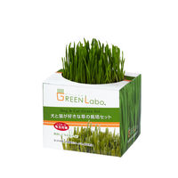グリーンラボ（GREENlobo）ペットグラス 犬と猫が好きな草 栽培セット 2個 猫草 エイムクリエイツ