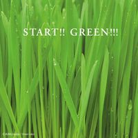 グリーンラボ（GREENlobo）犬と猫が好きな草の栽培用土 3L 1個 猫草 エイムクリエイツ