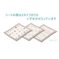 クリーンワン スタイリッチ リラックスオリエンタルの香り ワイド 44枚 1袋 シーズイシハラ