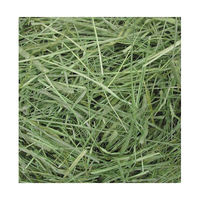 ラビットプレミアムチモシー 500g 2袋 ジェックス