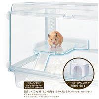 ハーモニーステージ M 1箱 ジェックス