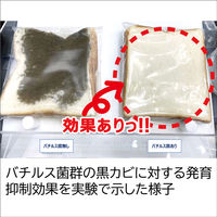 住まいの魔法のビーズ 置くだけ・かんたん カビ予防剤 防カビ 無香料 150g 1個 丹羽久
