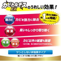 カビトルデスEX 防カビスプレー 無香料 120ml 1本 UYEKI