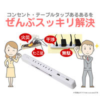 延長コード スリム回転USBタップ 2P式 4個口 2m USB2ポート 朝日電器 ELPA WBS-SL402USB（WD）