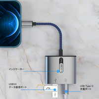 USB Type-C オーディオ変換 PD18W給電 3.5mm イヤホンジャック 変換アダプタ USBハブ ドック 1個