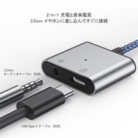 USB Type-C オーディオ変換 PD60W給電 3.5mm イヤホンジャック 変換アダプタ USBハブ ドック 1個