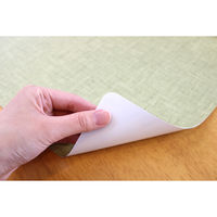 明和グラビア　抗ウイルスランチョンマット　VPM-ムジ　 GR4977932273719　1セット（10枚入）（直送品）