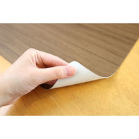 明和グラビア　抗ウイルスランチョンマット　VPM-モクメ　 BR4977932273733　1セット（10枚入）（直送品）