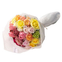 【生花】アデリー ホシファーム　フレッシュブーケ　カラフル　３０本 FB-M30 1個（直送品）