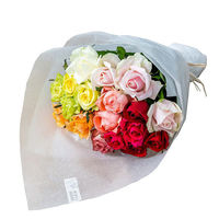 【生花】アデリー ホシファーム　フレッシュブーケ　カラフル　１８本 FB-M18 1個（直送品）