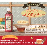 【機能性表示食品】サーフビバレッジ ジンジャールイボスティー 500ml 1箱（24本入）
