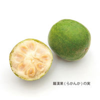 サラヤ フォワード ラカント業務用液状甘味料 1L×6個 4973512276699（直送品）