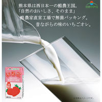 らくのうマザーズ いちご 250ml×12個 4908839183054（直送品）