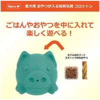 Hartz（ハーツ）コロットン グリーン 1個 住商アグロインターナショナル 犬 おもちゃ デンタルケア