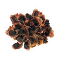 Q-pet 国産鶏 砂肝 姿干し 無添加 国産 200g 3袋 九州ペットフード 犬用 おやつ