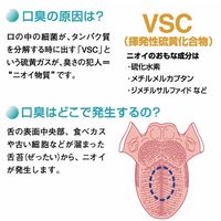 ビーブランド・メディコーデンタル ハイザックRスプレー 24-8035-00 1本