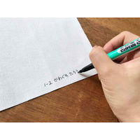 KAWAGUCHI なまえペン 油性 名前用 極細 黒 11-154 1本