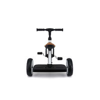 池商 BMW三輪車 BM-TR-W 1台（直送品）