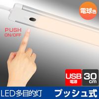朝日電器株式会社 ＬＥＤ多目的灯ＵＳＢ　プッシュ ALT-USB2030PS(L) 1個