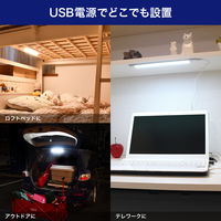 朝日電器 LED多目的灯USB プッシュ ALT-USB2030PS(D) 1個