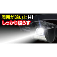朝日電器 LEDヘッドライト DOP-HD501 1個
