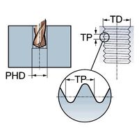 サンドビック コロタップ200 ポイントタップ 【D】 T200-XM101DA-M6 C110 1PC（直送品）