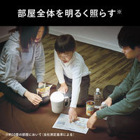 ランタン 多機能強力ランタン（多機能でかランタン）パナソニック BF-BL45M-W （単1形電池 3本使用） 1台