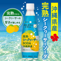 伊藤園 完熟 シークワーサー ソーダ 沖縄県産 410ml ニッポンエール 1箱（24本入）