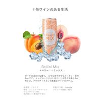 イタリア　チェヴィコ ベリーニ ミックス 250ml 微発泡・中甘口 1セット（3缶）　缶ワイン