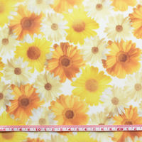 日本紐釦 転写チュール オレンジのガーベラ 巾約68cm 5mカット F99060-1056-5M 1セット(約巾68cm×5m（直送品）