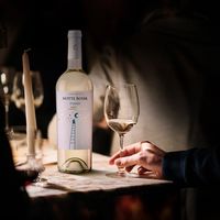 イタリア ノッテロッサ フィアーノ　白ワイン　辛口 750ml 1本　日本酒類販売