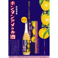 ボンタンアメのお酒 500ml 1本　本坊酒造　リキュール