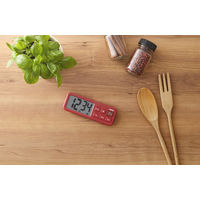 タニタ 抗菌でか見えタイマー TD-431-RD 1個