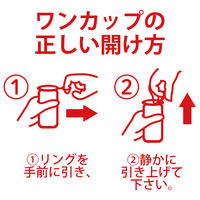 大関 ワンカップ ジャンボ 300ml 1セット（3本）　日本酒