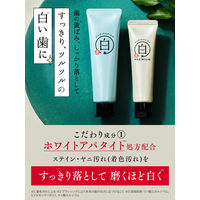 歯磨き堂 薬用ホワイトニングペースト プレミアム 【医薬部外品】 60g 1本 歯磨き粉 ブレッシン