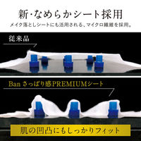 さっぱり感PREMIUMシートパウダーinタイプクリーンソー