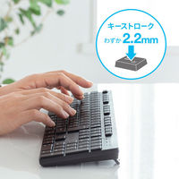 サンワサプライ ワイヤレスキーボード 無線 メンブレン コンパクト フルサイズ 静音マウス付 ブラック SKB-WL39SETBK 1個（直送品）