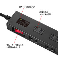 サンワサプライ 雷ガードタップ(10個口・1m・ブラック) TAP-SP2110N-1BK 1個