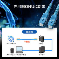 サンワサプライ アーマード1芯光ファイバケーブル（シングルモード、SC-SC、2m） HKB-AM1SCSC1-02 1個（直送品）