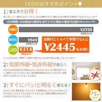 大河商事 LED電球 E26 フィラメント E26A 電球色 2700K　1台（直送品）