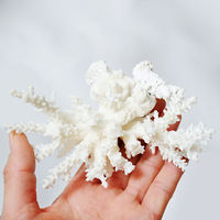 リーフ かざりサンゴ Lサイズ(3個セット)(形状お任せ) 237723 1セット（直送品）