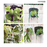 リーフ コウモリランポケット ブラック 257408 1個（直送品）