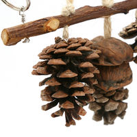 リーフ 小鳥の松ぼっくりとくるみのナチュラルトイ 261917 1個（直送品）