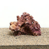 (株)リーフ Leaf Corp ジュラシックリーフロック ライブロック S(~700g) 1個 形状お任せ 264071（直送品）