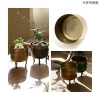 (株)リーフ Leaf Corp 鉢カバー ドブラオールドゴールドポット14 269586 1個（直送品）