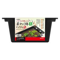 スドー 華めく鉢(大)わすみ 287264 1個（直送品）