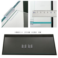 アクロ ガラス水槽 アクロ60 スーパークリア 背面ブラック 60×30×36cm 5mm厚 287395 1個（直送品）