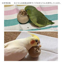 フォルス Foraging toy シリーズ フォレイジングトイ ゆらりん mini For フィンチ 288727 1個（直送品）