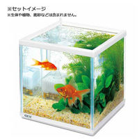ジェックス GEX 金魚元気キューブセット 200 331431 1セット（直送品）